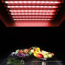 High Quality LED Tube for Vegetables with 25000h Lifetime